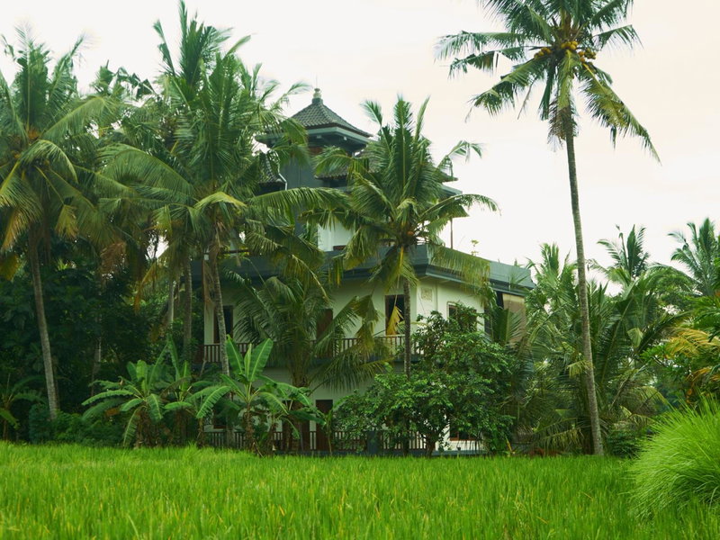 Eden House Ubud, Ubud, Indonesia