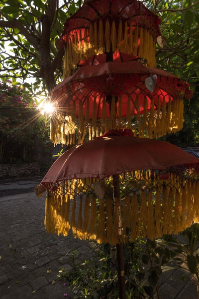 Arjuna Homestay, Negara, Индонезия
