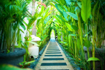 Awila Villas Kuta, Kuta, Indonesia