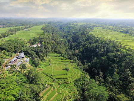 Suarapura Resort & Spa, Ubud, Indonesia