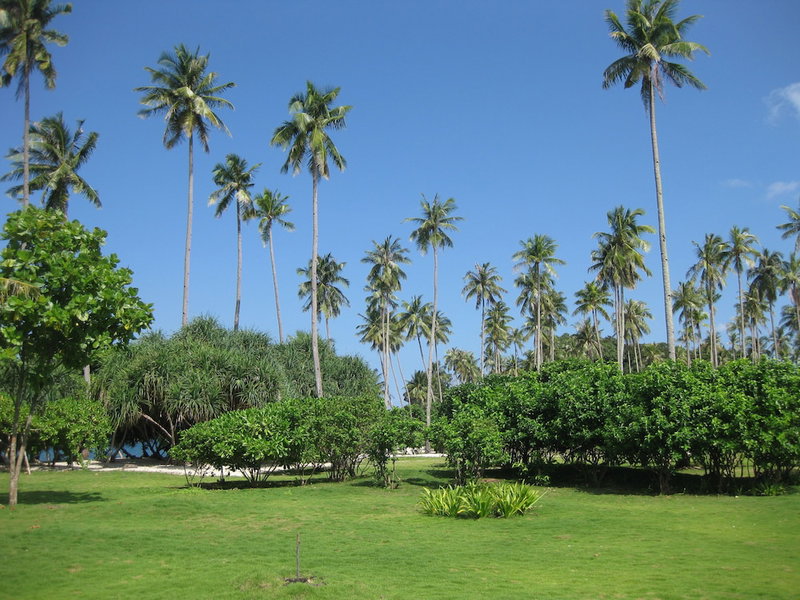 Trikora Beach Club & Resort, Bintan, Indonesia