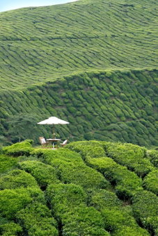 Cameron Highlands Resort - Small Luxury Hotels of the World, Cameron Highlands, Malaysia