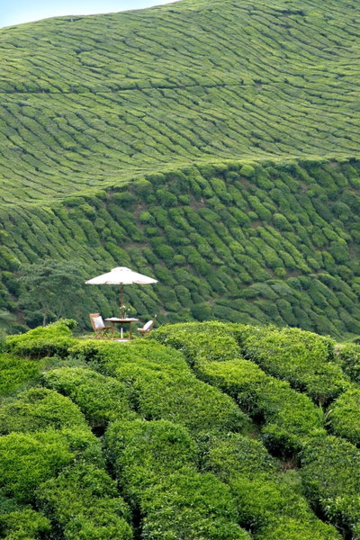 Cameron Highlands Resort - Small Luxury Hotels of the World, Cameron Highlands, Malaysia