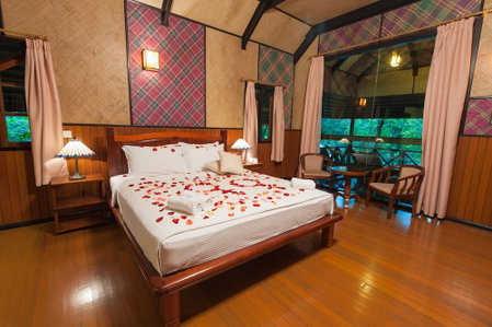 Sepilok Nature Resort, Sandakan, Malaysia