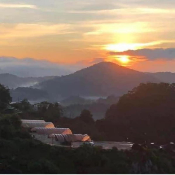 Kensington Sunrise at Sg Palas,PalasHorizon, Tanah Rata, Malaysia