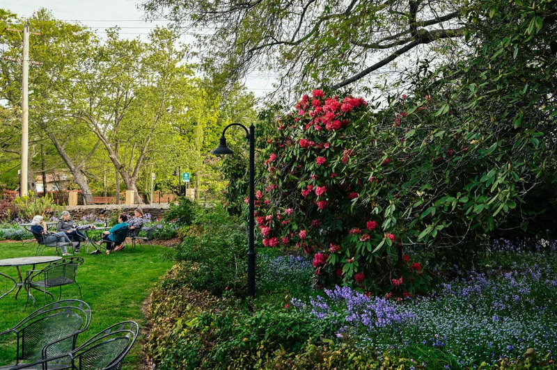 Comfort Resort Leura Gardens, Leura, Australia