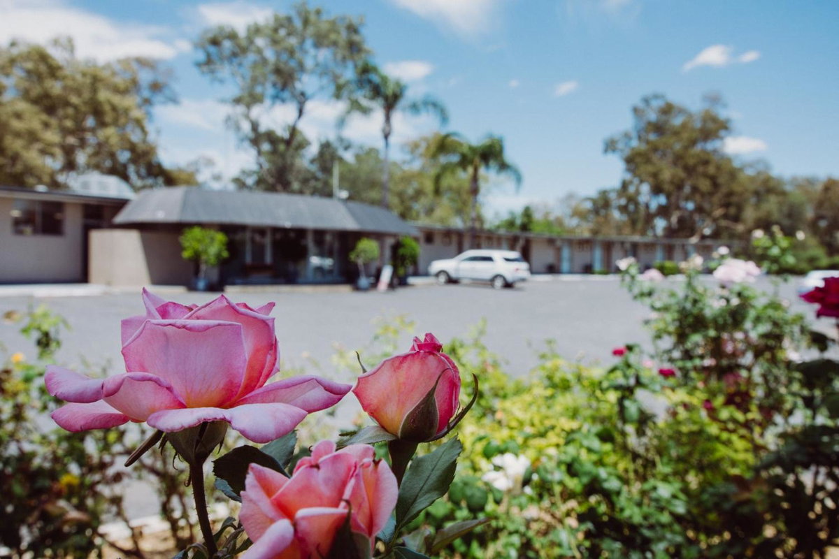 Artesian Spa Motel, Australia