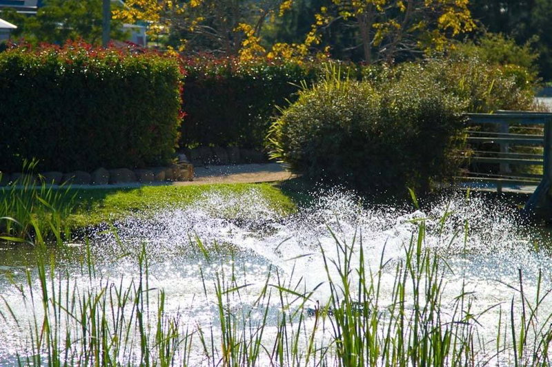 Potters Resort Hunter Valley, Cessnock, Australia