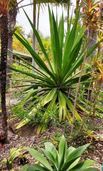 Ballina Beach Resort, Ballina, Australia