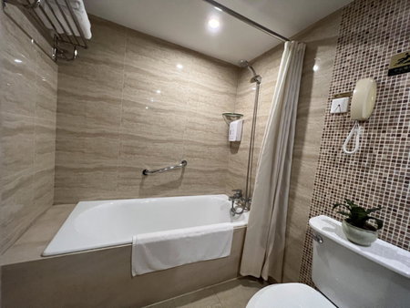 Chongqing Milky Way Hotel, Chongqing, 中国