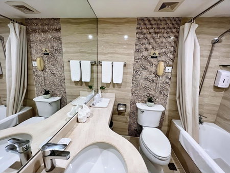 Chongqing Milky Way Hotel, Chongqing, 中国
