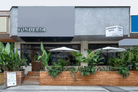 SONDERIA Hostel & Bar - Lazybones, Chengdu, 中国