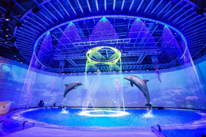 Shanghai Haichang Ocean Park Resort Hotel, Shanghai, China