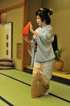 Arima Onsen Tocen Goshobo, Ashiya, Japan