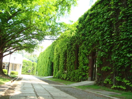 Kurashiki Ivy Square, Kurashiki, Japan