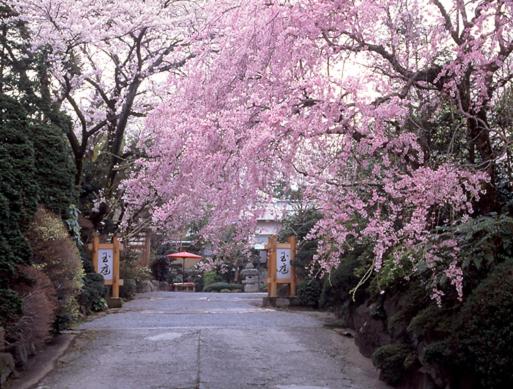 Gyokutei, Odawara, Japan