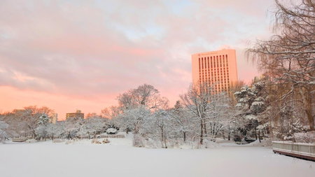 Premier Hotel Nakajima Park Sapporo, Sapporo, Japan