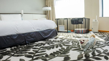 ANA Crowne Plaza Hotel Grand Court Nagoya by IHG, Nagoya, Japan