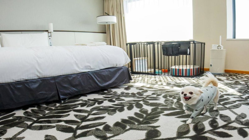 ANA Crowne Plaza Hotel Grand Court Nagoya by IHG, Nagoya, Japan
