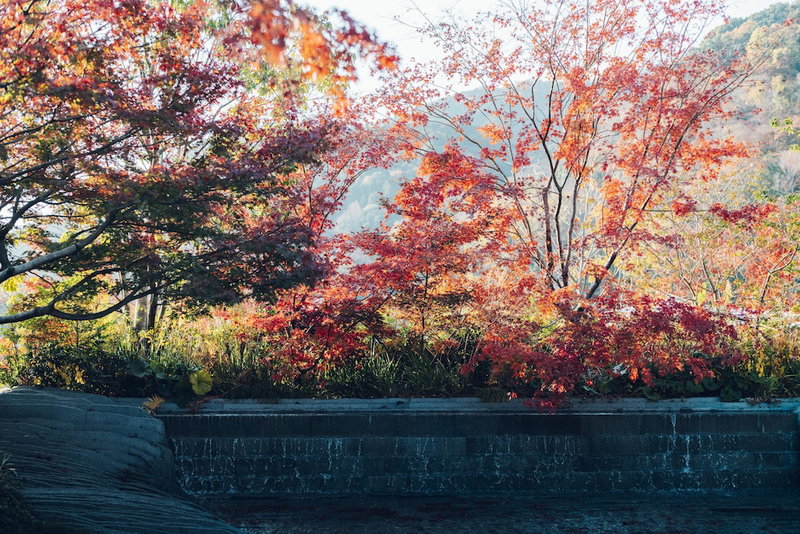 Muni Kyoto, Arashiyama, Japan