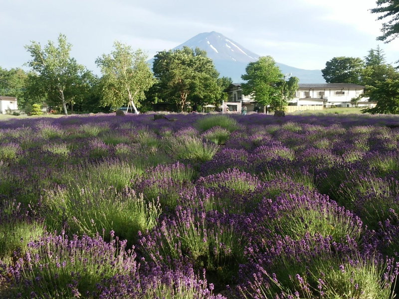 Lakeland Hotel Mizunosato, Fujikawaguchiko, Japan