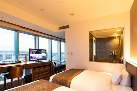 Piazza Hotel Nara, Nara-shi, Japan