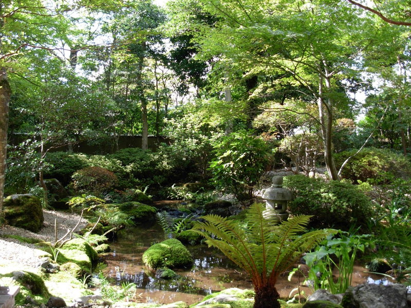 Yoshimatsu, Yugawara, Japan