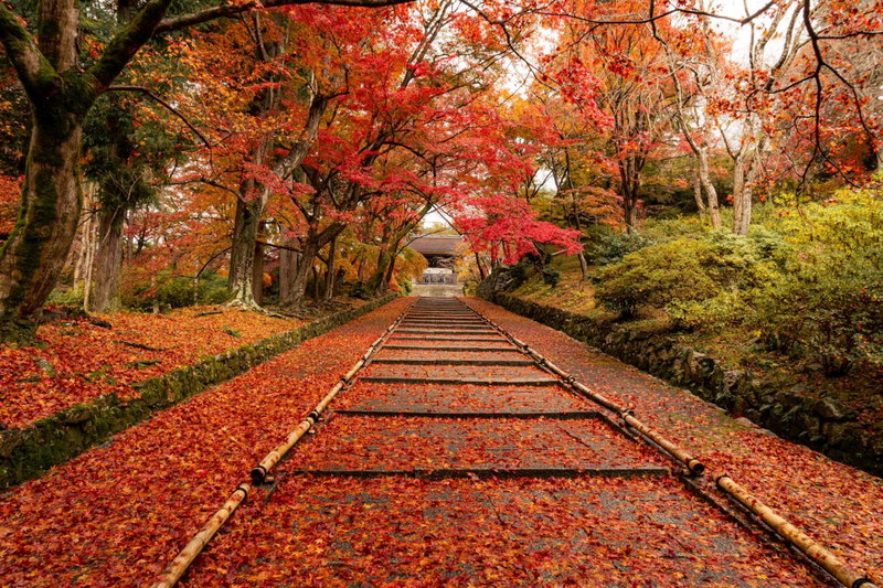 Four Points Flex by Sheraton Kyoto Oike, Kyoto, Japan