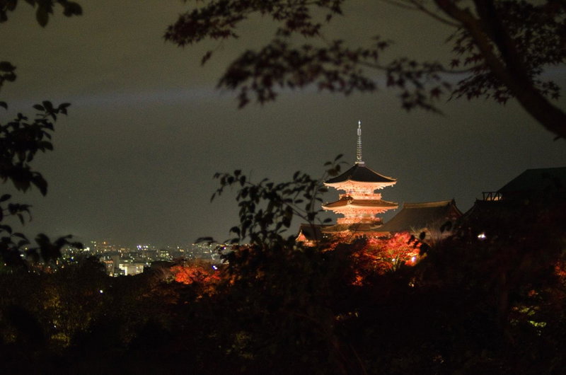 Four Points Flex by Sheraton Kyoto Oike, Kyoto, Japan