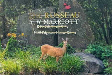 JW Marriott The Rosseau Muskoka Resort & Spa, Minett, Canada