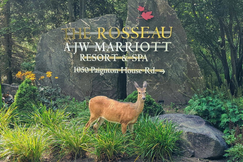 JW Marriott The Rosseau Muskoka Resort & Spa, Minett, Canada
