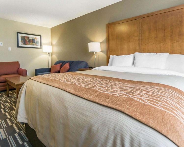 Comfort Inn & Suites Edmonton International Airport, Leduc, Canada
