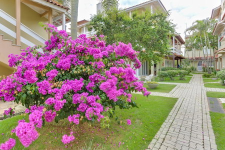 Villas Jurerê Residences, Trindade, Brazil
