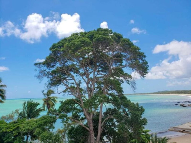 Pousada Vila de Taipa, Maragogi, Brazil