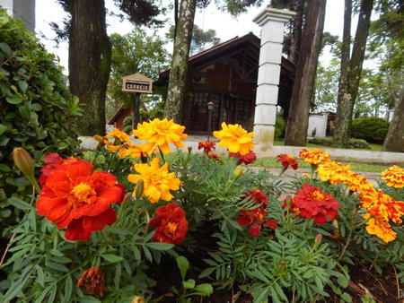 Hotel Cabana Jardim de Flores, Canela, Brazil