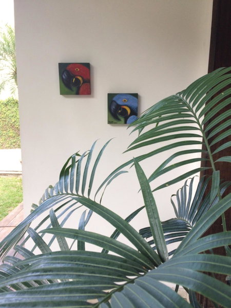 Ecopousada Miriti, Belem, Brazil