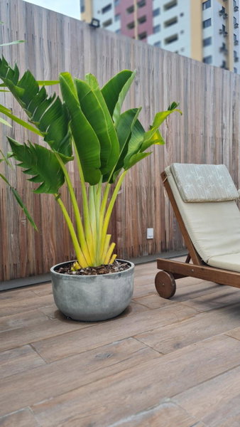Carppa Hotel, Fortaleza, Brazil