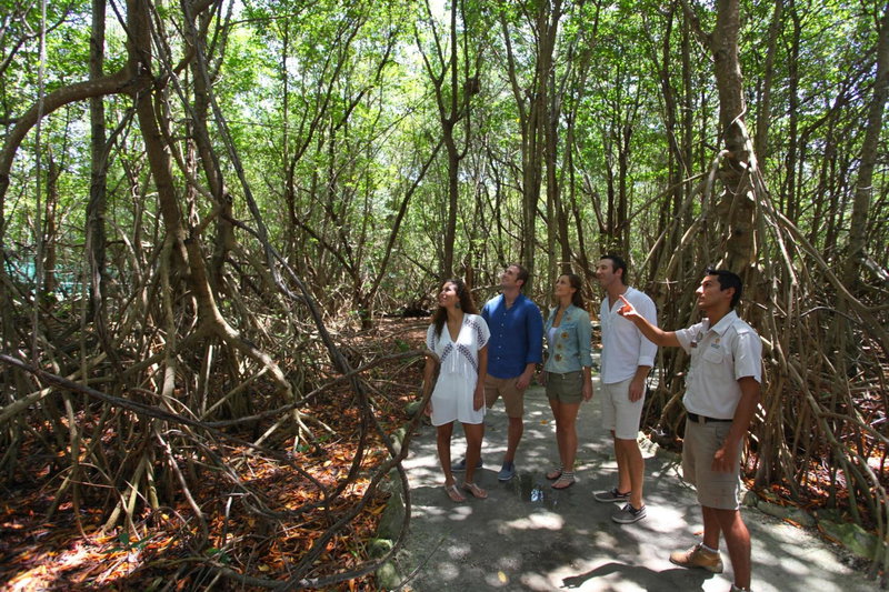 Select Club at Sandos Caracol All Inclusive - Adults Only Area, Playa del Carmen, Mexiko