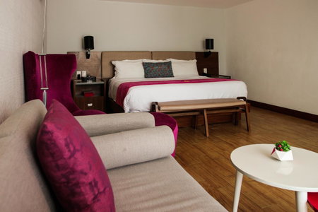 FCH Hotel Expo Adults only, Guadalajara, Mexico