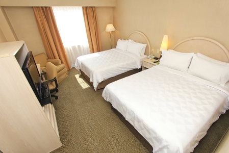 Holiday Inn Convention Center by IHG, Leon de los Aldama, Mexique