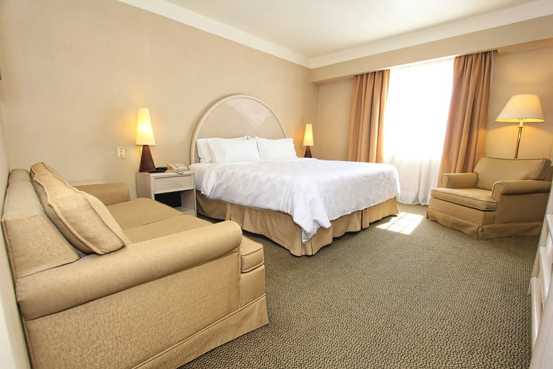 Holiday Inn Convention Center by IHG, Leon de los Aldama, Mexique