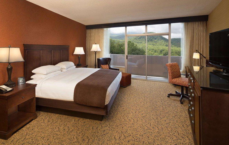 The Park Vista - A DoubleTree by Hilton Hotel - Gatlinburg, Sevierville, United States