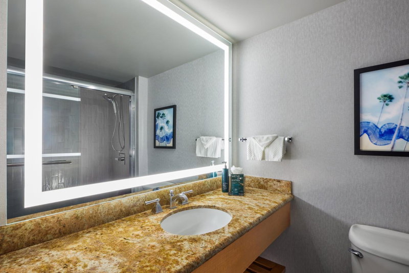 Hotel Fera Anaheim, a DoubleTree by Hilton Hotel, Orange, United States