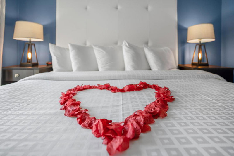 Avalon Hotel Downtown St. Petersburg, St. Petersburg, United States