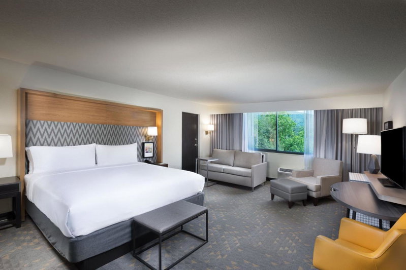 Holiday Inn Asheville East-Blue Ridge Pkwy by IHG, Asheville, United States