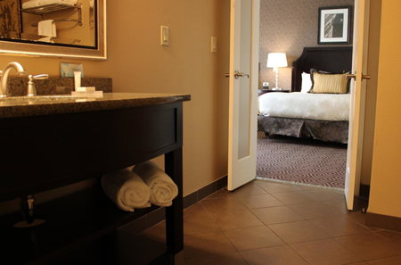 Hotel Julien Dubuque, Dubuque, United States