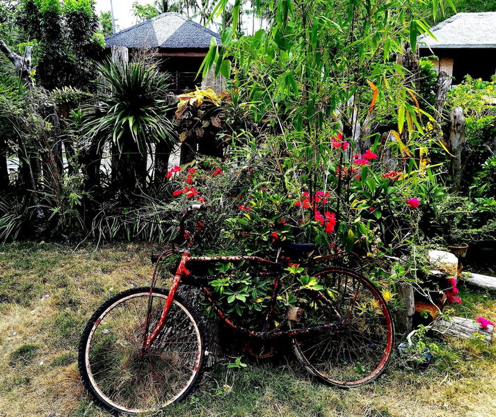 La Pernela Beachfront Resort, Tagbilaran City, Philippines