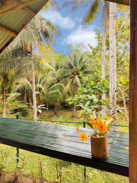 Rose Apartments, Anda, Philippines