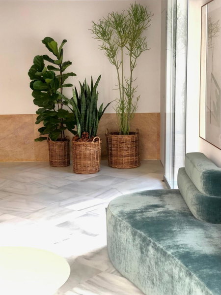 Hotel Tayko Sevilla, Sevilla, Spain