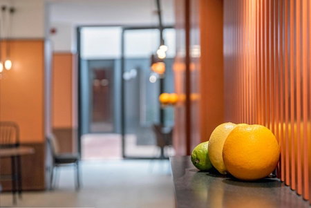 Hotel Orangine, Sants - Badal, Spain